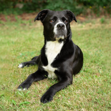 milla-gruenstadtgrau-gartenplanung milla-gruenstadtgrau-gartenplanung